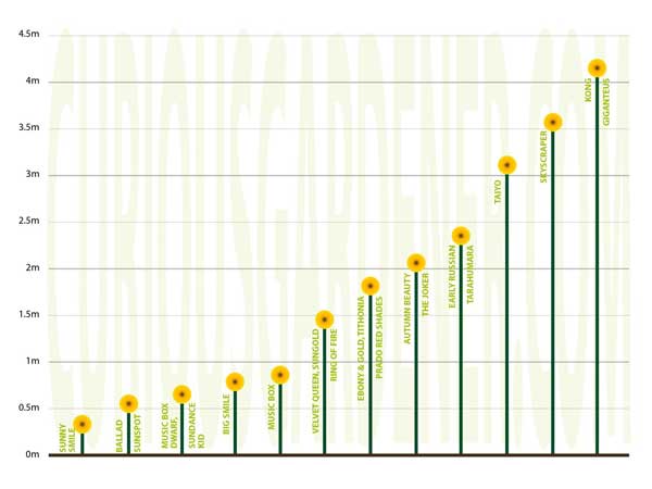 Vegetable Plant Height Chart